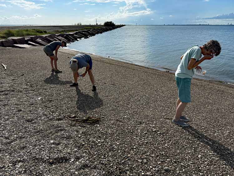 seaglass hunting